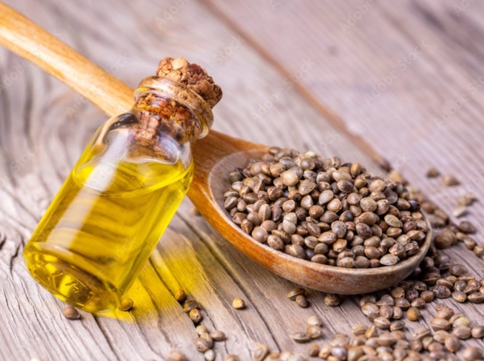 Organic Hemp Seed Oil